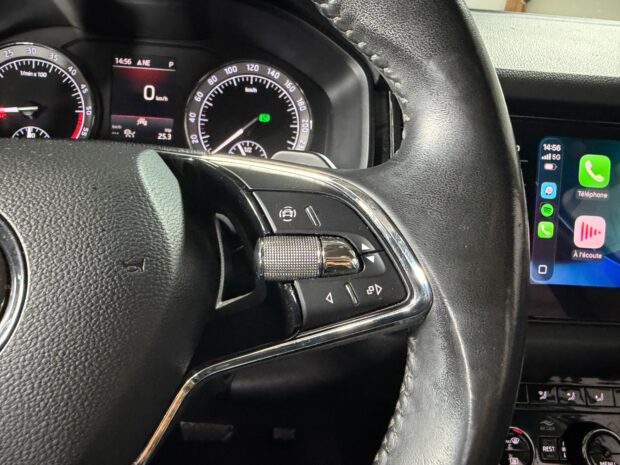 SKODA KODIAQ 2.0 TDI Evo 150 SCR DSG7 5pl Style complet